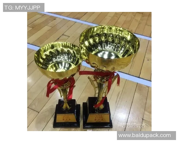 武汉羽毛球队与西安羽毛球队赛后复盘分析与经验总结